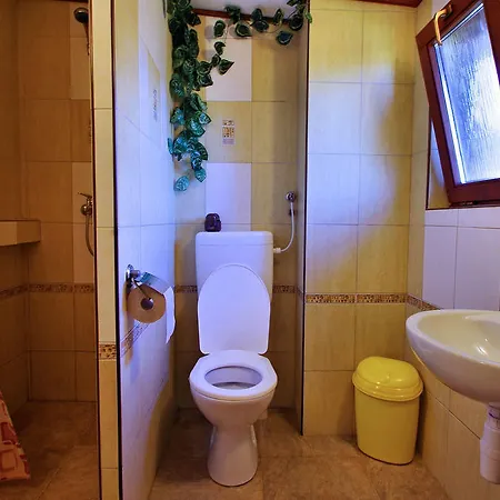 Yellow Paradise House *