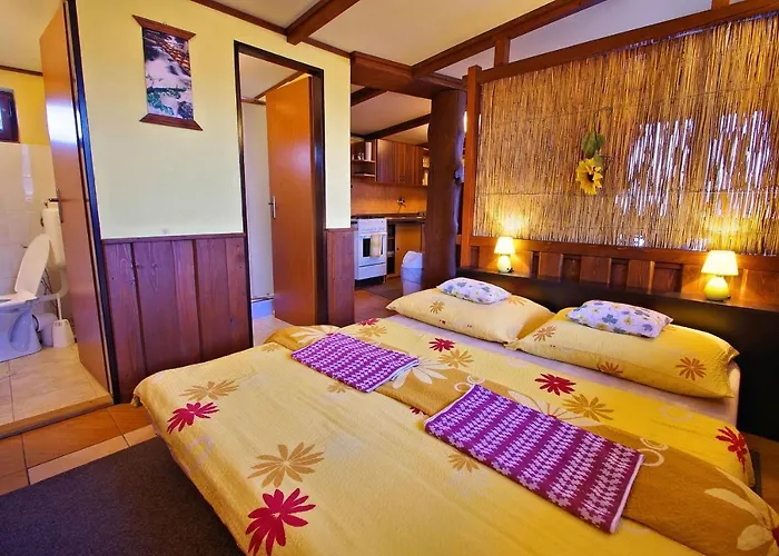 Yellow Paradise House アパート *